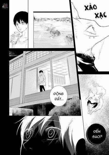 page_25.jpg