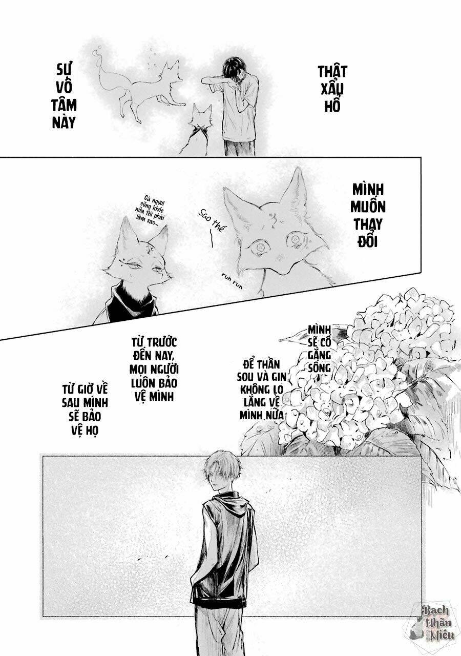 page_28.jpg