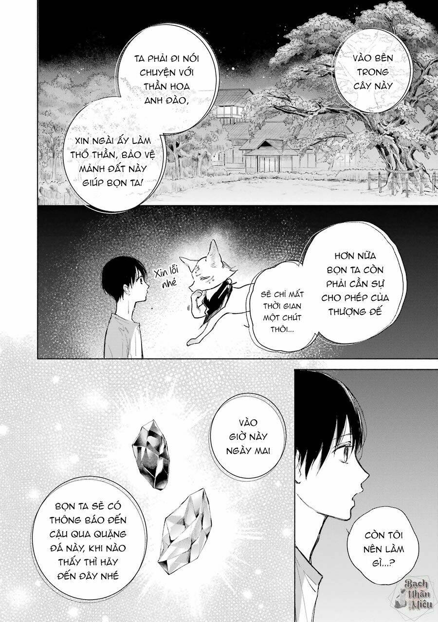 page_21.jpg