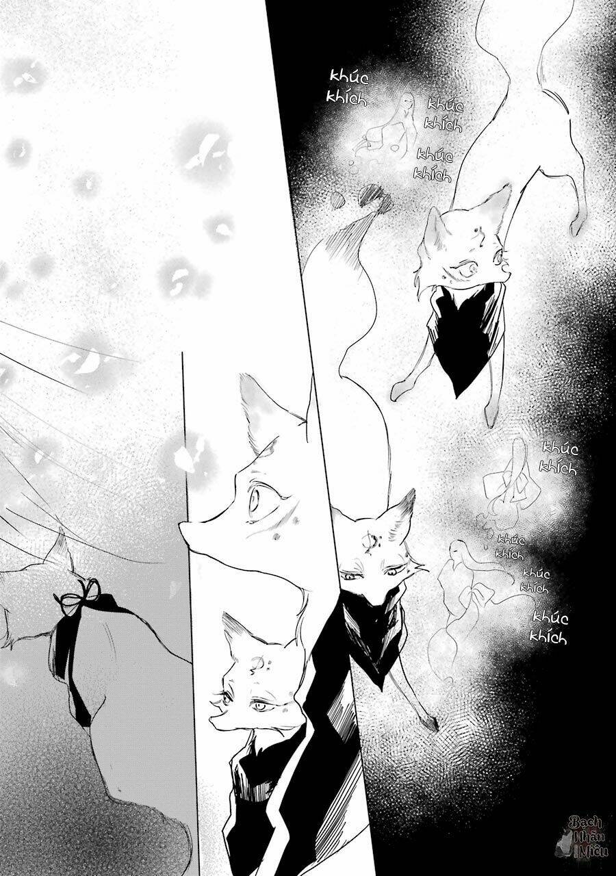 page_23.jpg