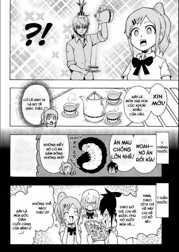 page_17.jpg