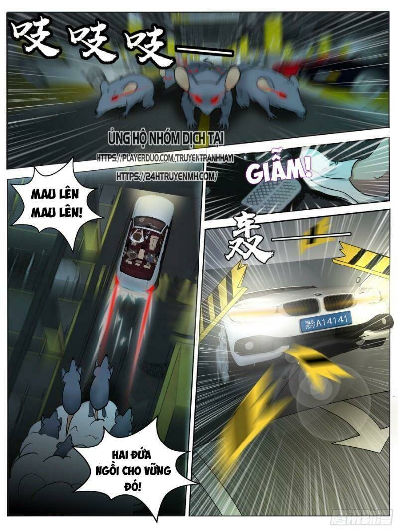 page_11.jpg