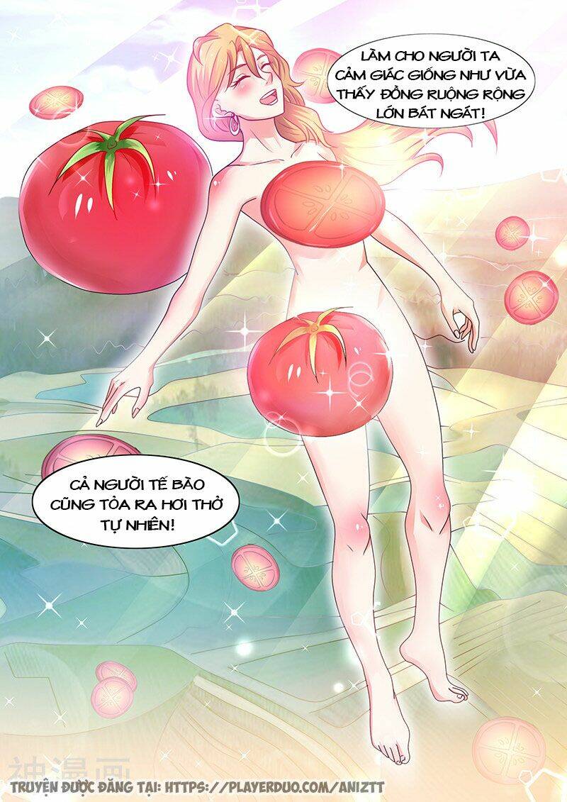 page_8.jpg
