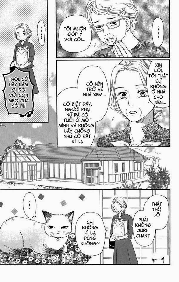 page_14.jpg