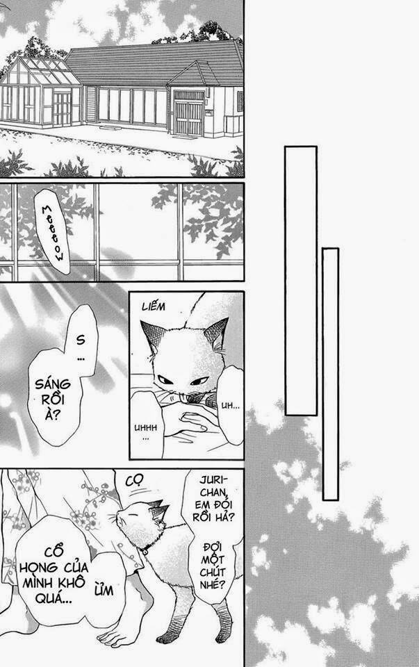 page_42.jpg