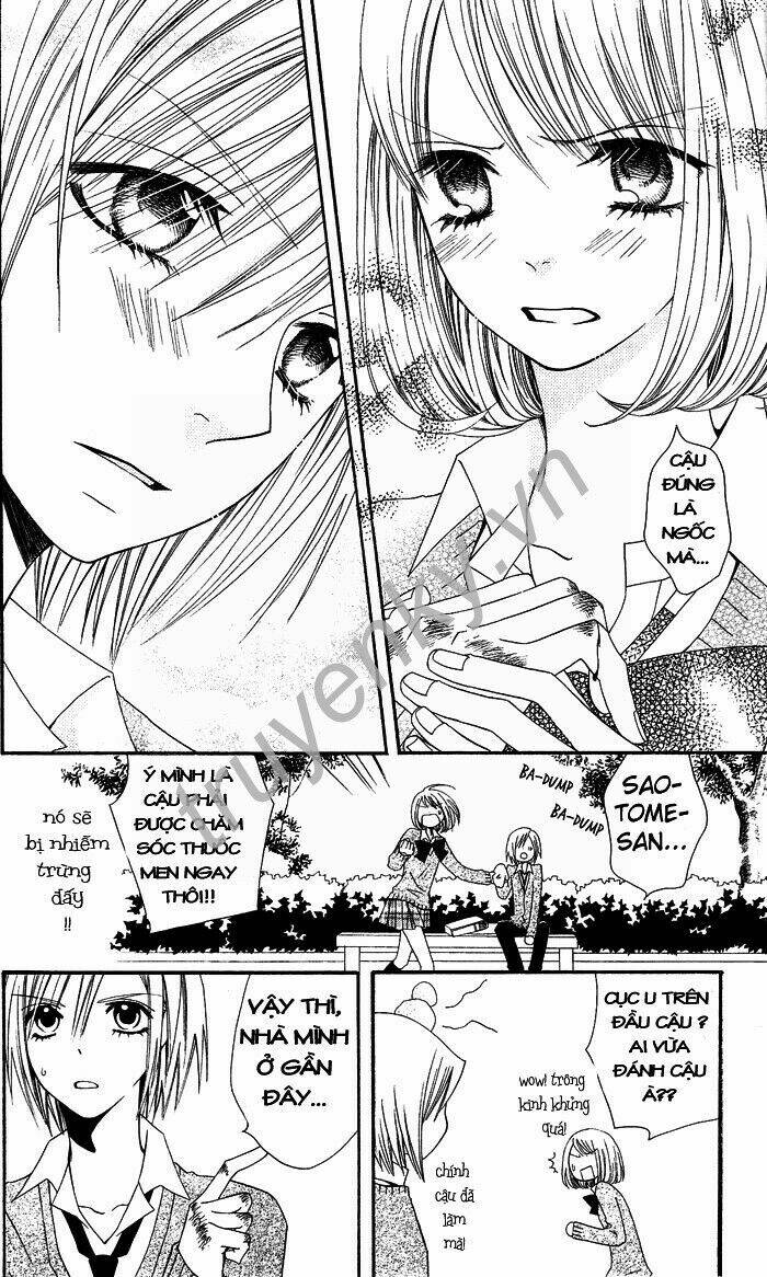 page_19.jpg