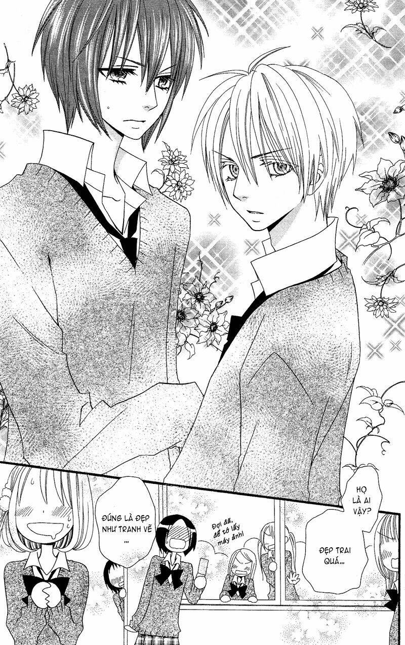 page_19.jpg