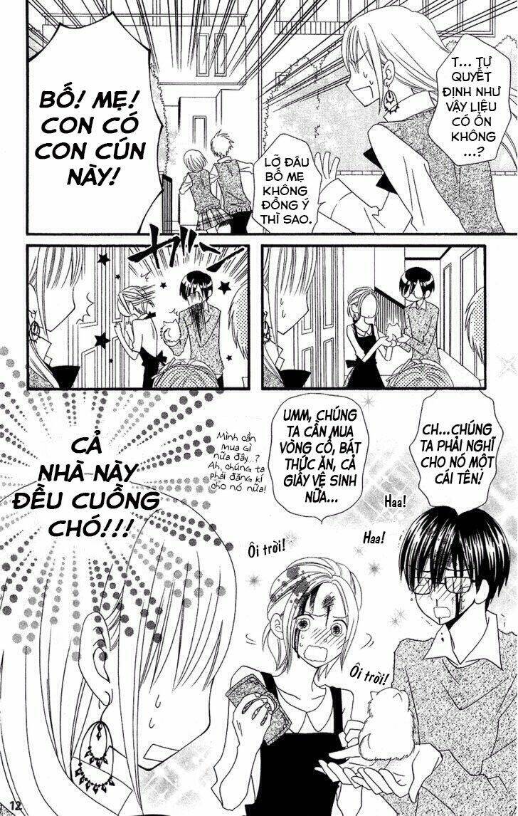 page_14.jpg