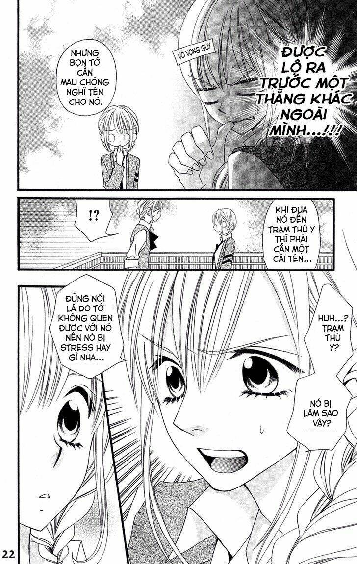 page_24.jpg