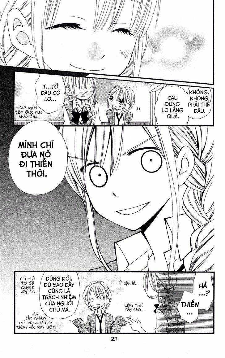 page_25.jpg