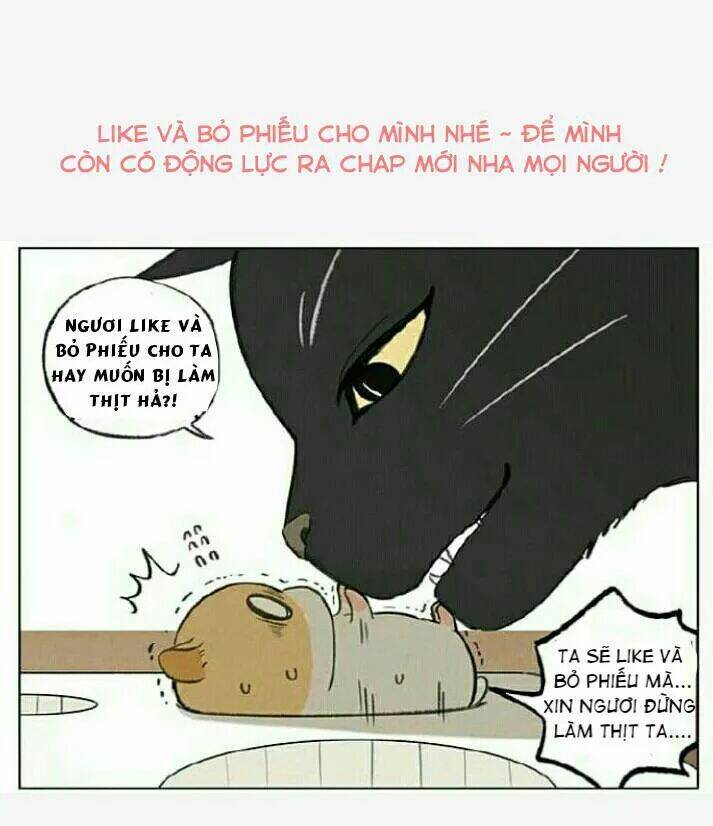 page_24.jpg