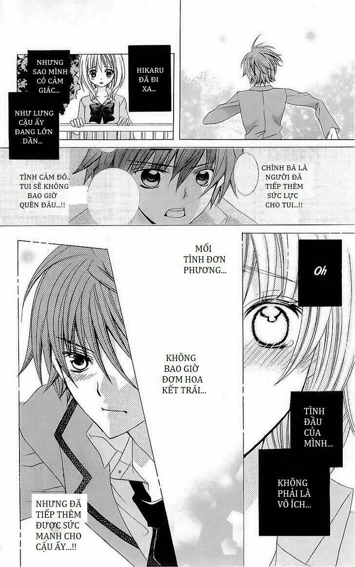 page_24.jpg