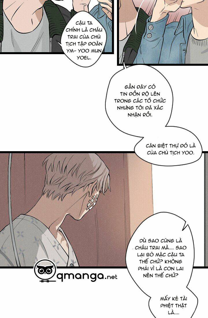 page_20.jpg