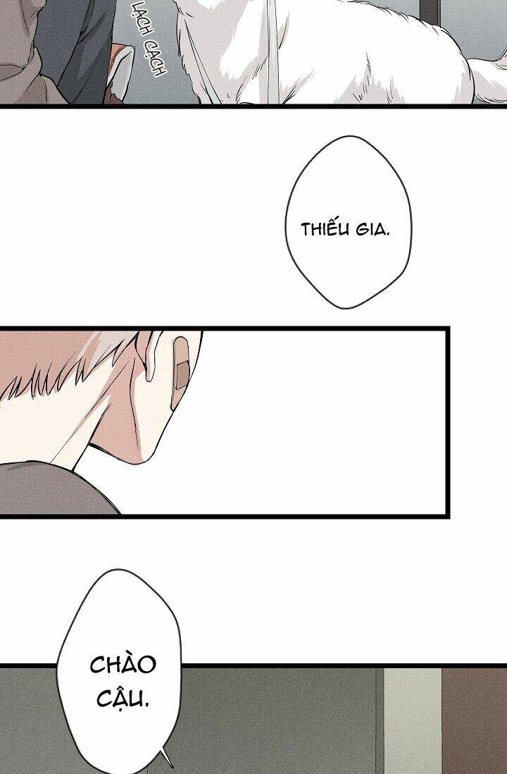 page_23.jpg
