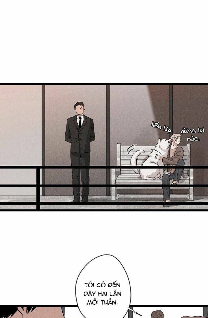 page_27.jpg
