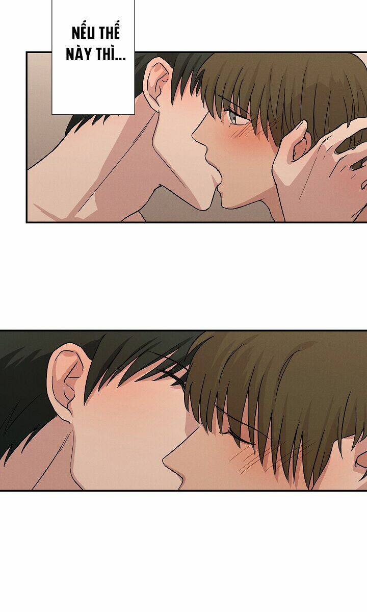 page_31.jpg