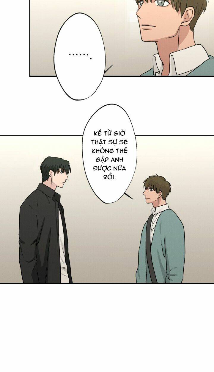 page_28.jpg