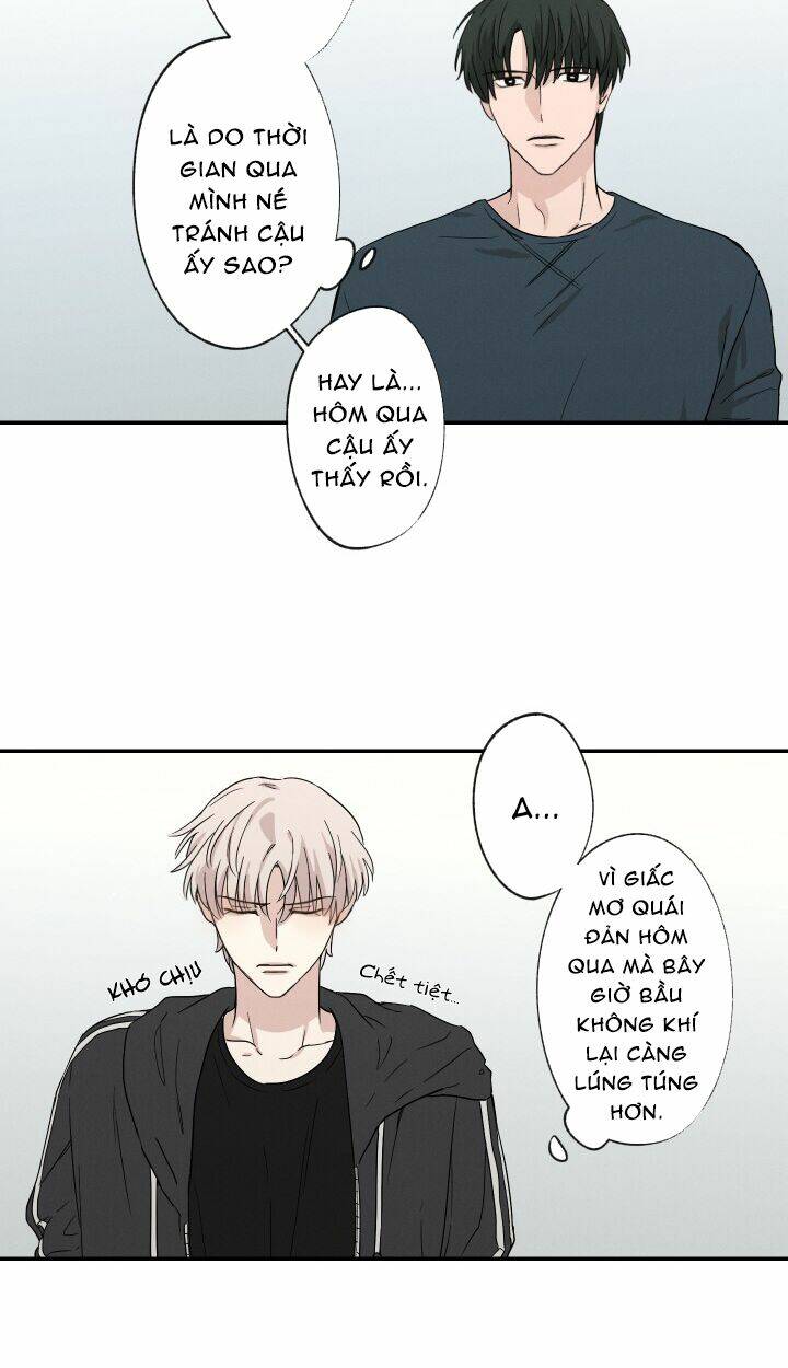 page_29.jpg