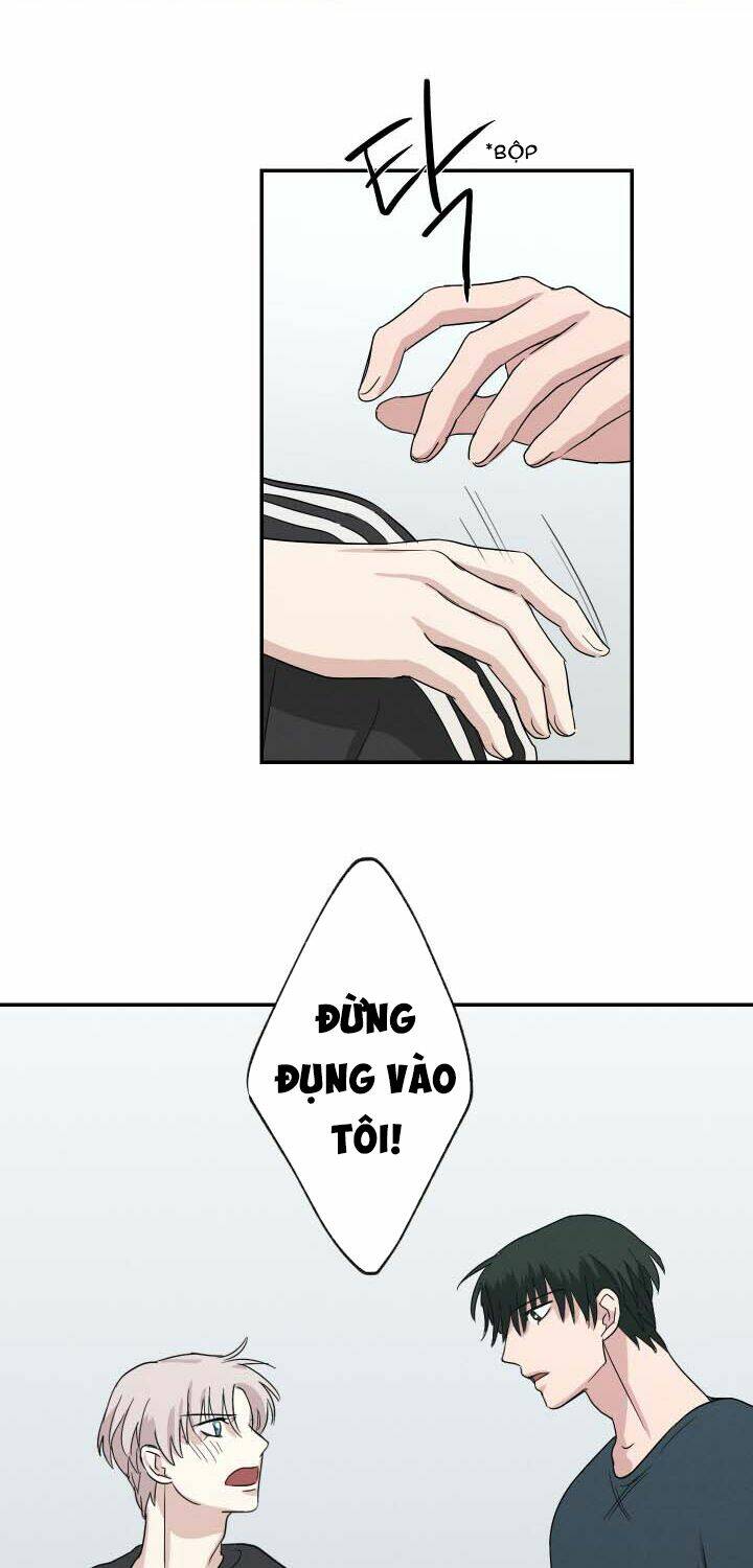 page_32.jpg