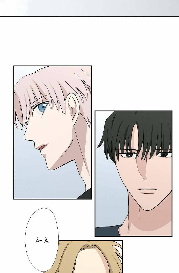page_19.jpg