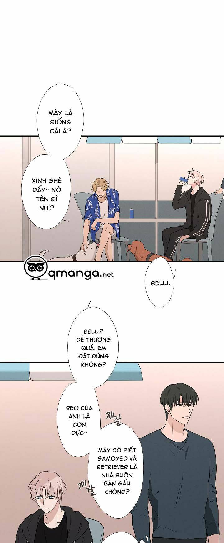 page_22.jpg