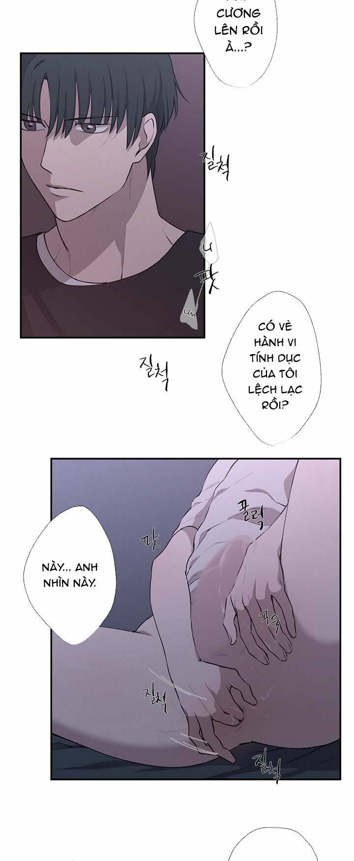 page_19.jpg