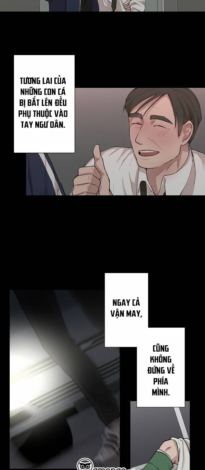 page_14.jpg