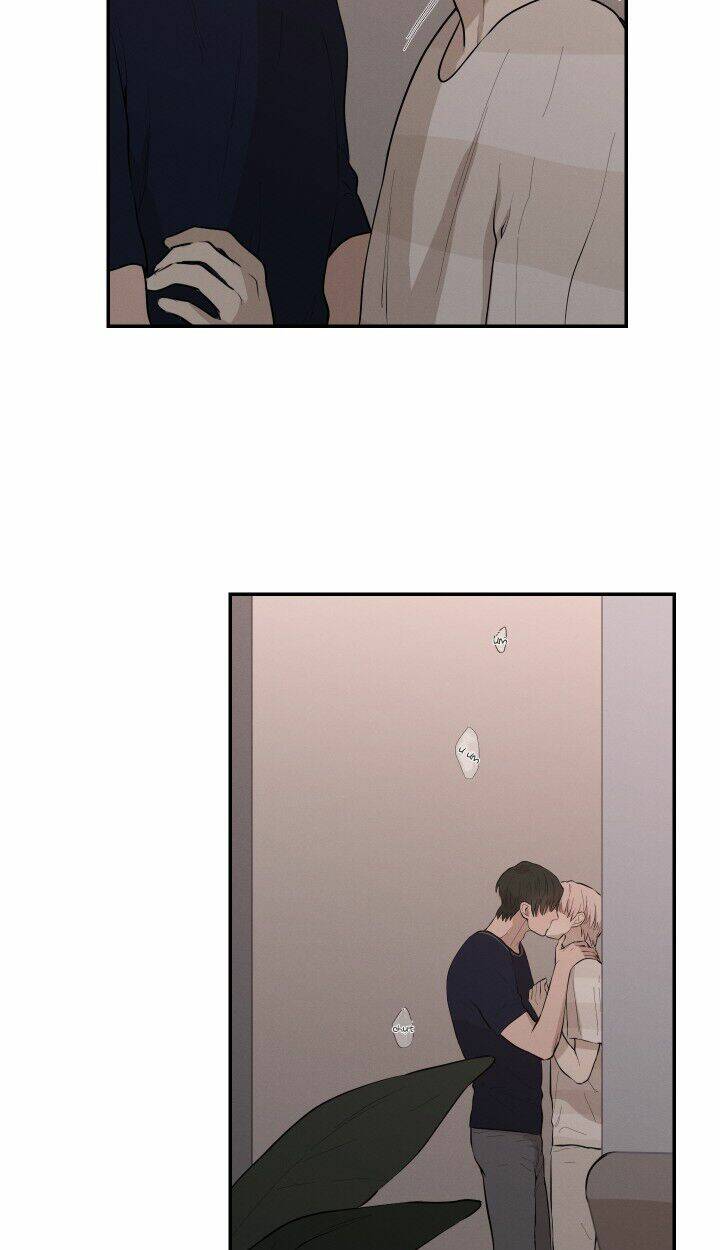page_17.jpg