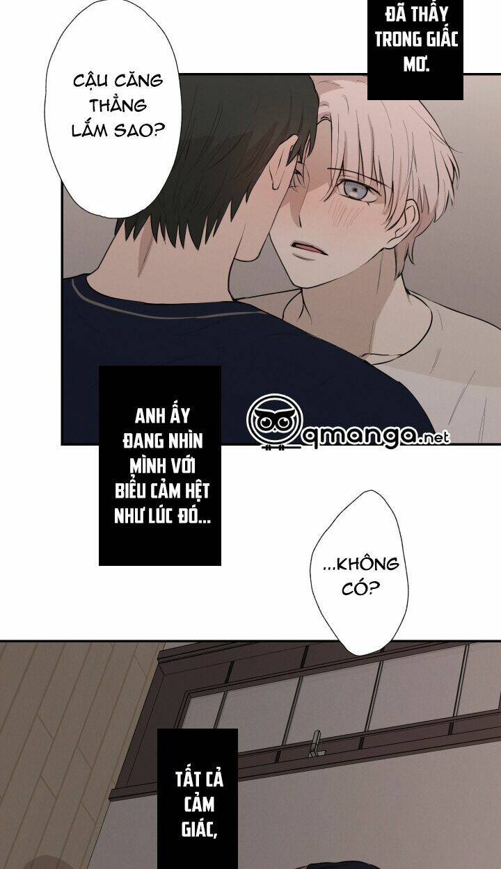 page_20.jpg