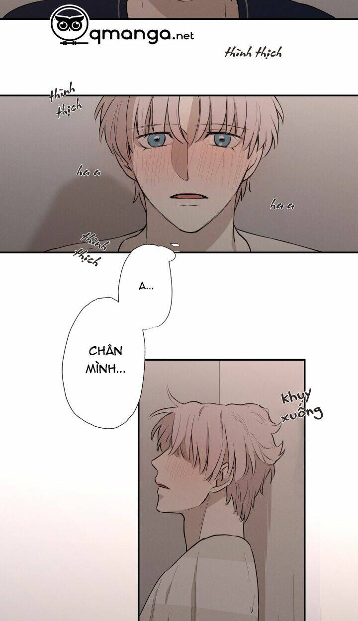 page_24.jpg