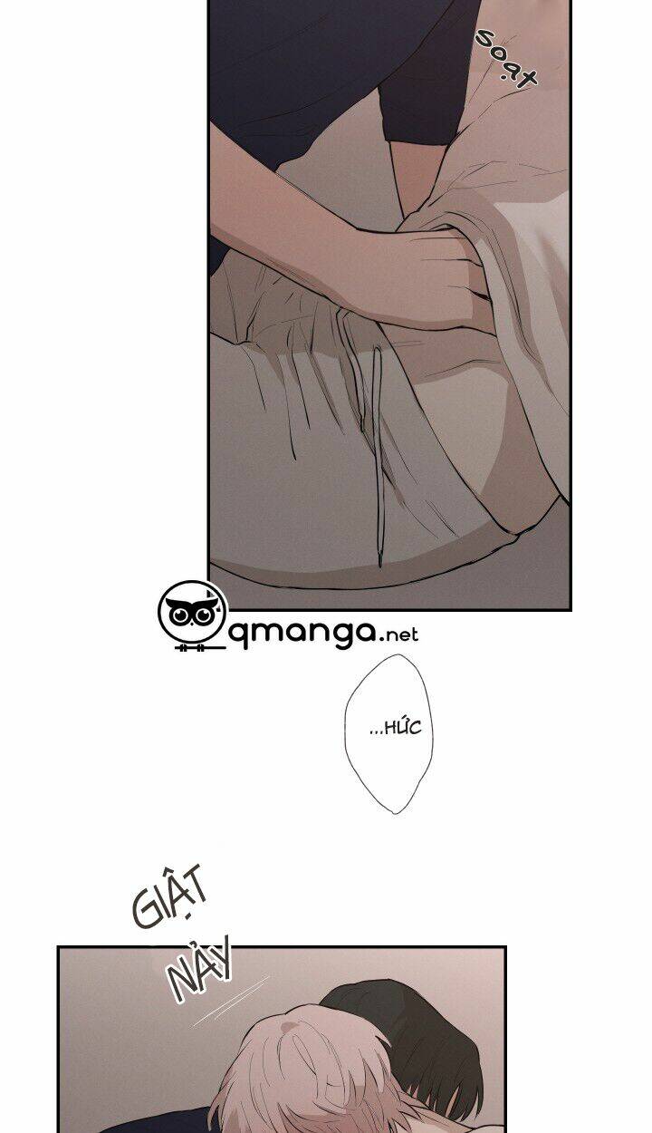 page_29.jpg