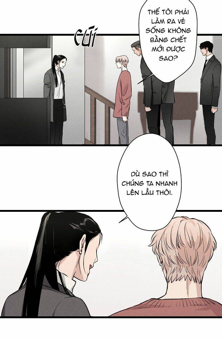 page_20.jpg