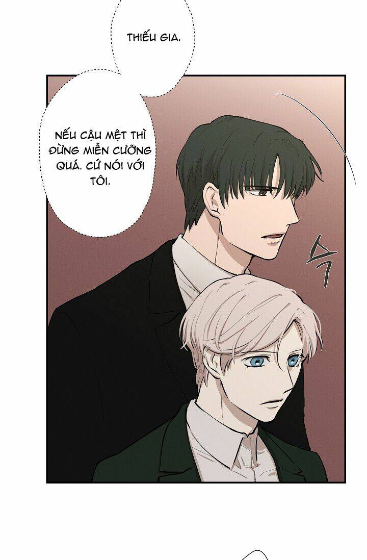 page_29.jpg