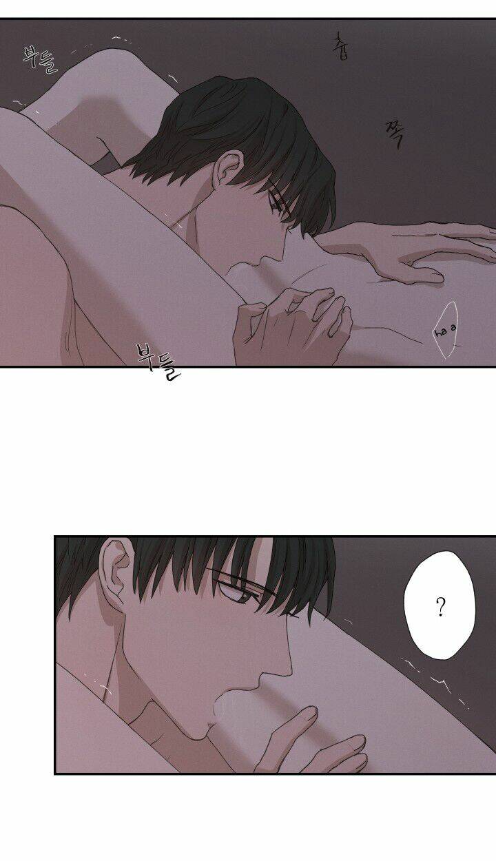 page_21.jpg