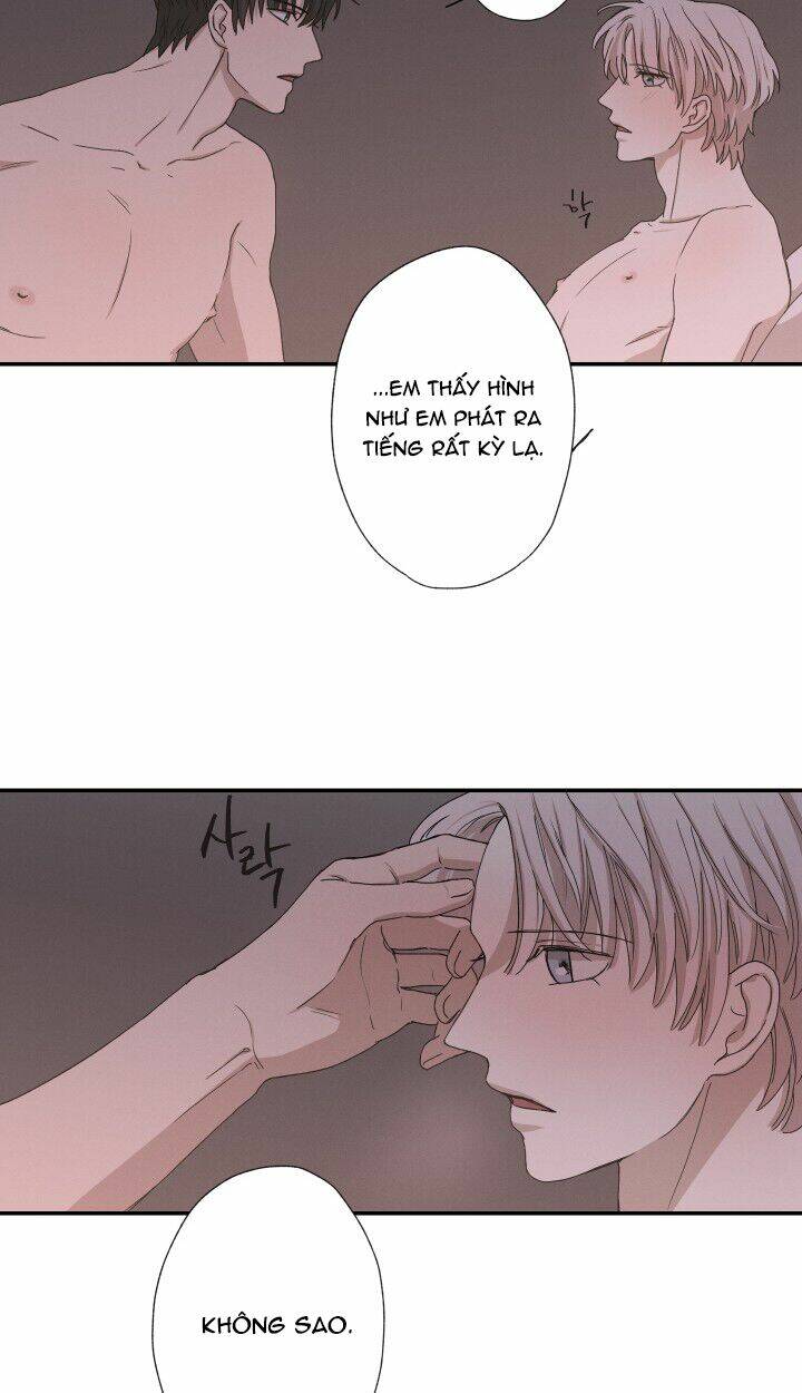 page_23.jpg