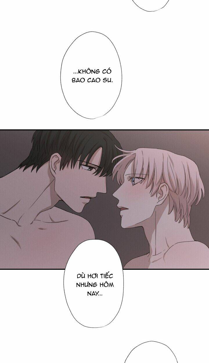 page_28.jpg