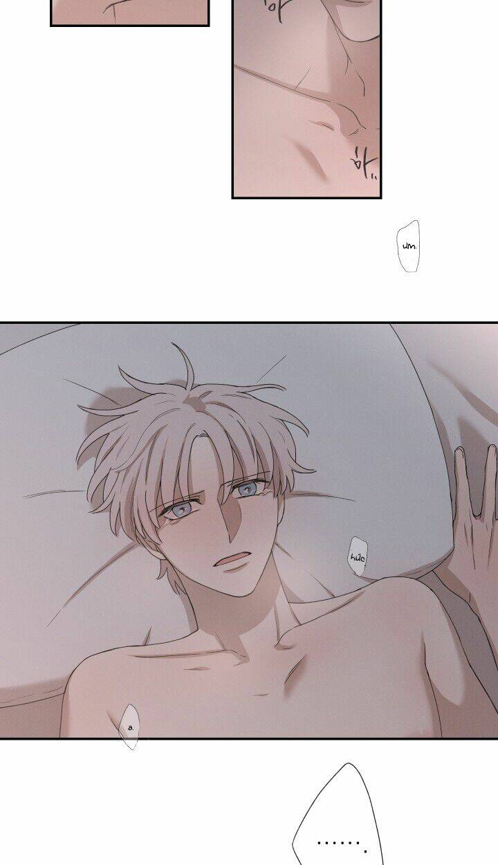 page_41.jpg