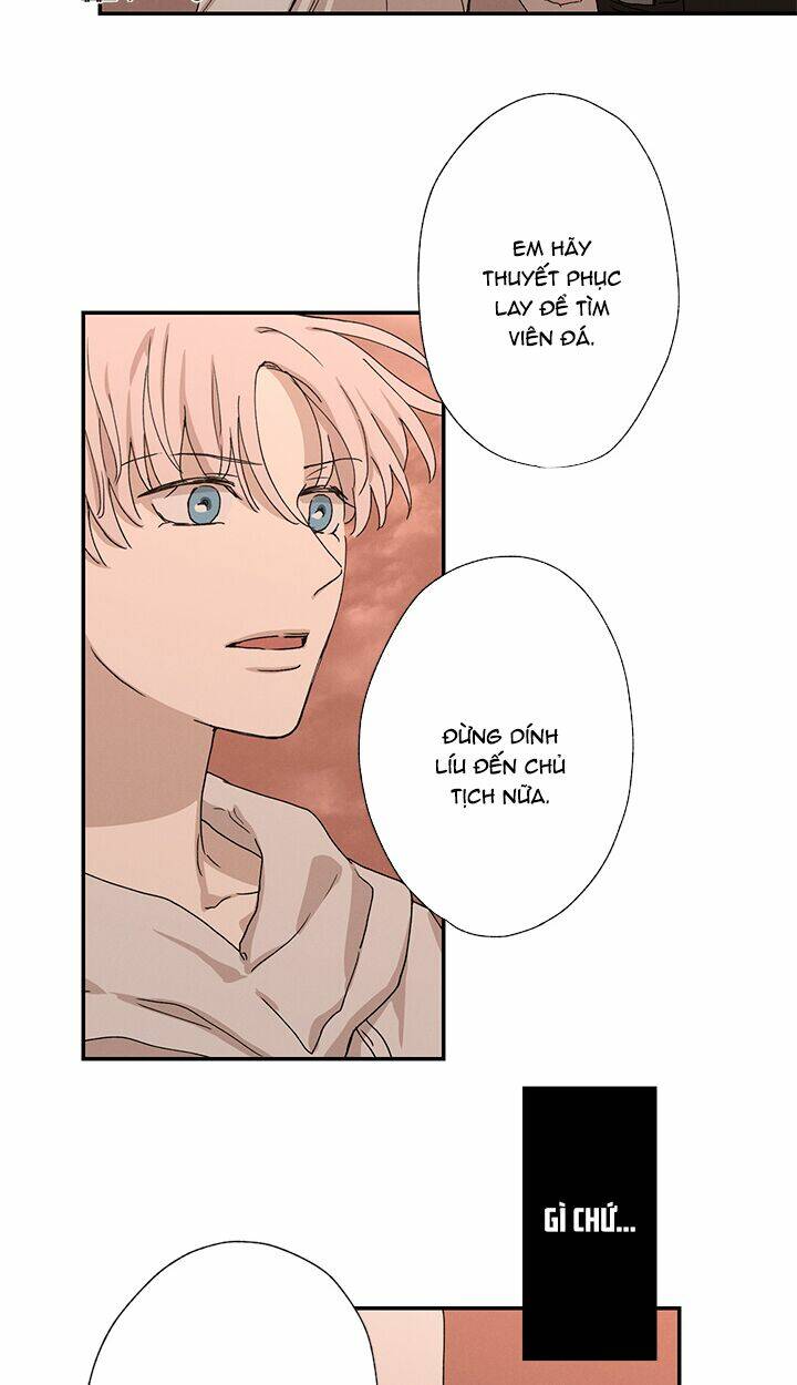 page_17.jpg