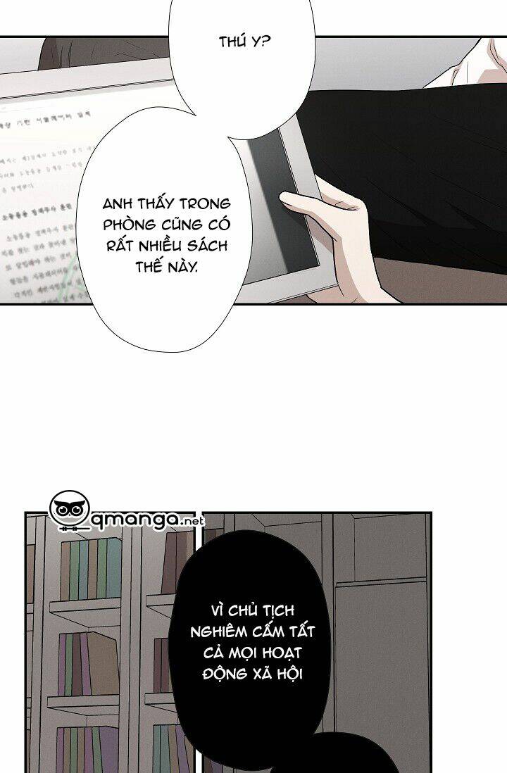 page_19.jpg