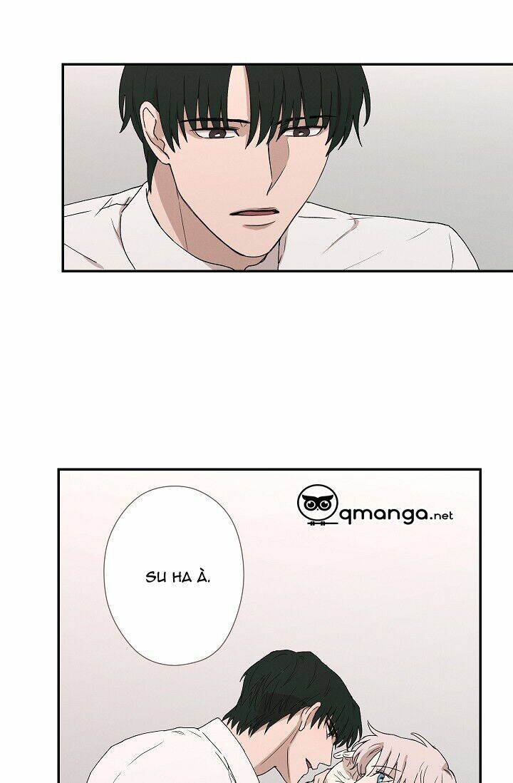 page_27.jpg