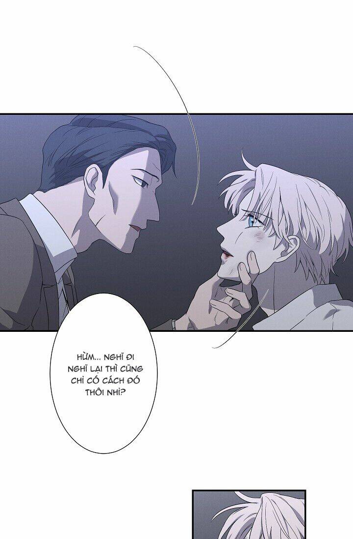 page_21.jpg
