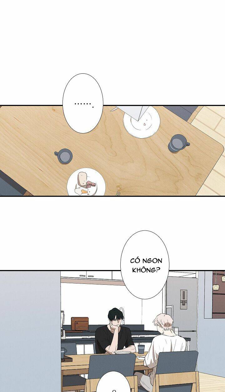 page_17.jpg