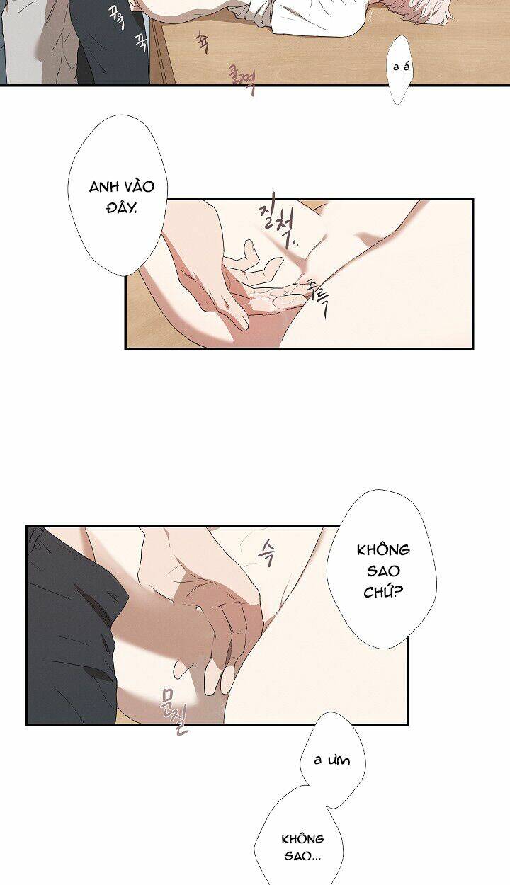 page_26.jpg