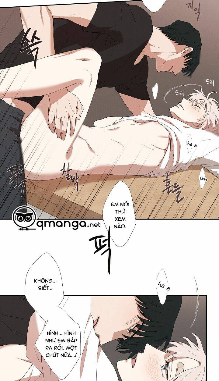 page_29.jpg