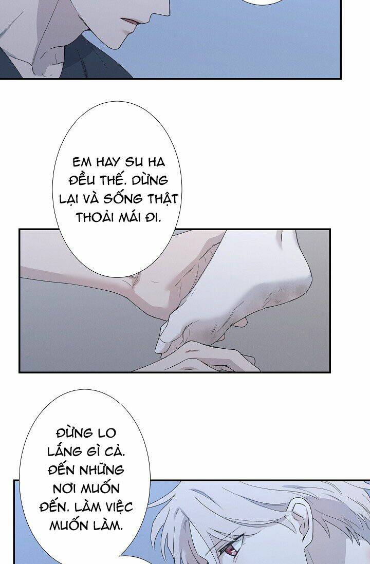 page_40.jpg