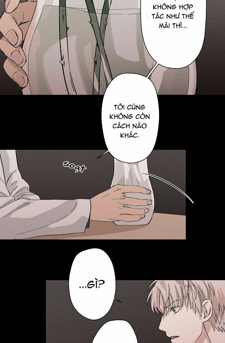 page_16.jpg