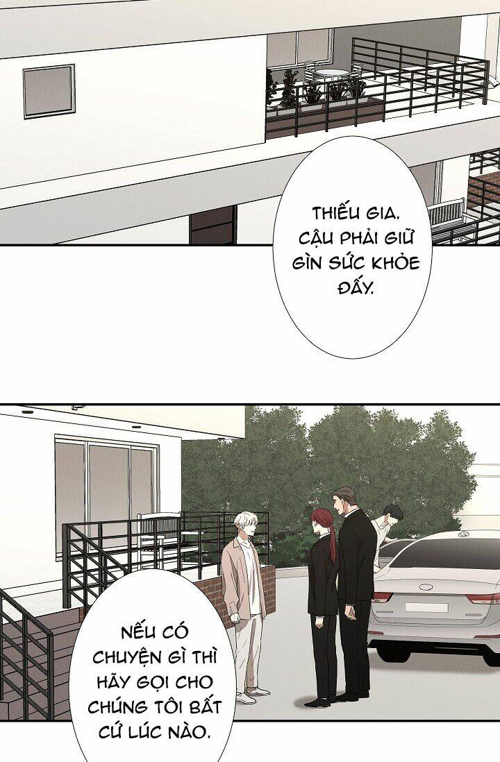 page_19.jpg
