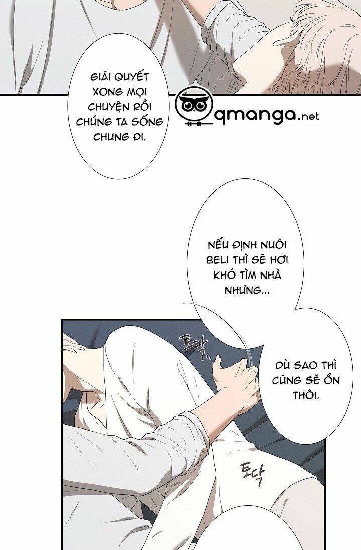 page_28.jpg