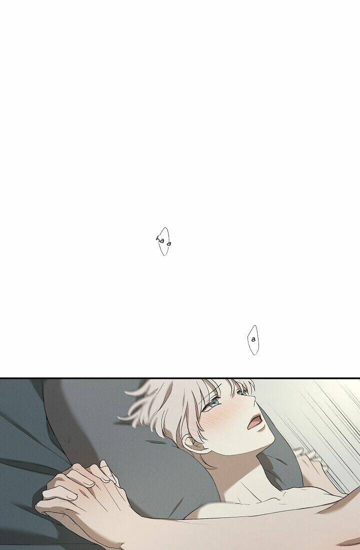 page_26.jpg