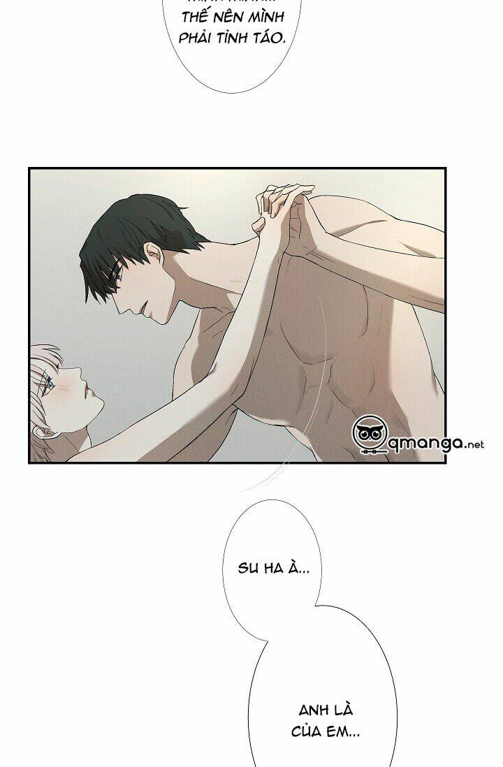 page_28.jpg